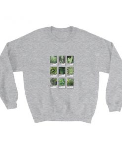 plantone cactus Sweatshirt