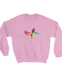 Geometric Rainbow Hummingbird Sweatshirt