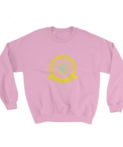 Midtown School of Science and Technology Sweatshirt