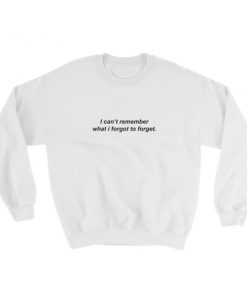 I Can't Remember What I Forgot To Forget Sweatshirt