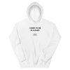 I Used To Be In a Band and Other Lies Unisex Hoodie