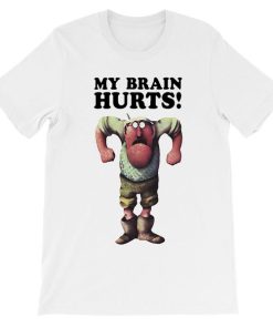 Funny Meme My Brain Hurts Monty Python T Shirt